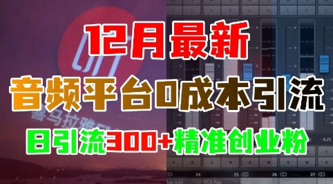 12月最新：音频平台0成本引流，日引流300+精准创业粉-易得个人分享