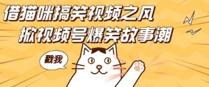 借猫咪搞笑视频之风，掀视频号爆笑故事潮，轻松日入四位数，无门槛快速入门!-易得个人分享