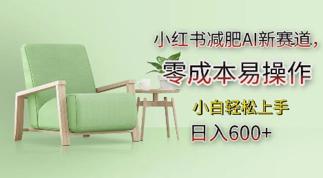 小红书减肥AI新赛道，零成本易操作，日入多张，小白轻松上手【揭秘】-易得个人分享