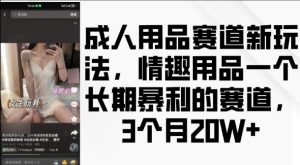 成人用品赛道新玩法，情趣用品一个长期暴利的赛道，3个月收益20个【揭秘】-易得个人分享