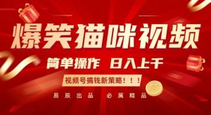 爆笑猫咪视频：简单操作，日入过K，视频号搞钱新策略【揭秘】-易得个人分享