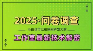 2025问卷调查最新工作室技术解密：一个人在家也可以闷声发大财，小白一天2张，可矩阵放大【揭秘】-易得个人分享