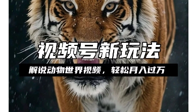 利用动物世界解说视频，赚分成计划收益，轻松月入过W，操作简单【揭秘】-易得个人分享