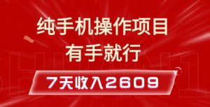 纯手机操作的小项目，有手就能做，7天收入2609+实操教程【揭秘】-易得个人分享