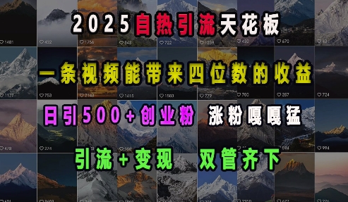 2025自热引流天花板，一条视频能带来四位数的收益，引流+变现双管齐下，日引500+创业粉，涨粉嘎嘎猛-易得个人分享