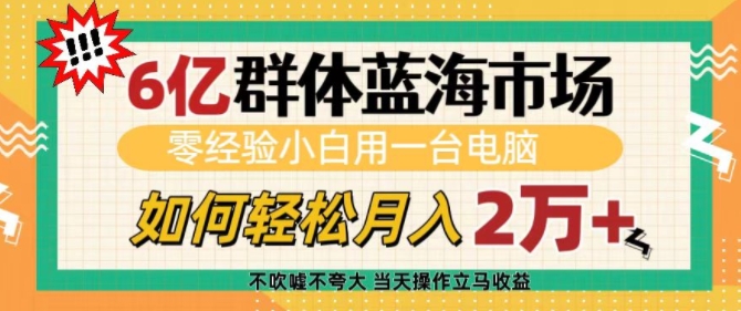 6亿群体蓝海市场，零经验小白用一台电脑，如何轻松月入过w【揭秘】-易得个人分享