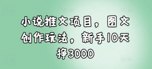 小说推文项目，图文创作玩法，新手10天挣3000-易得个人分享