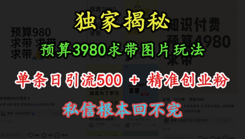 预算3980求带 图片玩法，单条日引流500+精准创业粉，私信根本回不完-易得个人分享