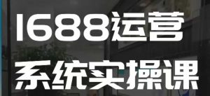 1688高阶运营系统实操课，快速掌握1688店铺运营的核心玩法-易得个人分享