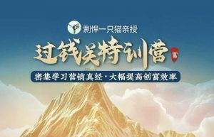 剽悍一只猫-过钱关特训营，学习营销真经 大幅度提高创富效率-易得个人分享