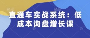 直通车实战系统：低成本询盘增长课，让个人通过技能实现升职加薪，让企业低成本获客，订单源源不断-易得个人分享