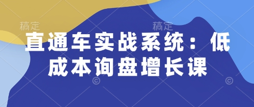 直通车实战系统：低成本询盘增长课，让个人通过技能实现升职加薪，让企业低成本获客，订单源源不断-易得个人分享