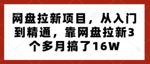 网盘拉新项目，从入门到精通，靠网盘拉新3个多月搞了16W-易得个人分享