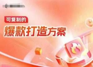 天猫电商爆款运营，可复制的爆款打造方案(线下内训课录音+字幕)-易得个人分享