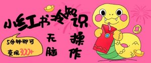 小红书冷知识账号，无脑复制粘贴，5分钟即可变现3张-易得个人分享