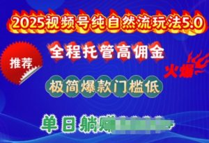 2025视频号纯自然流玩法5.0，全程托管高佣金，极简爆款门槛低，单日收益多张【揭秘】-易得个人分享