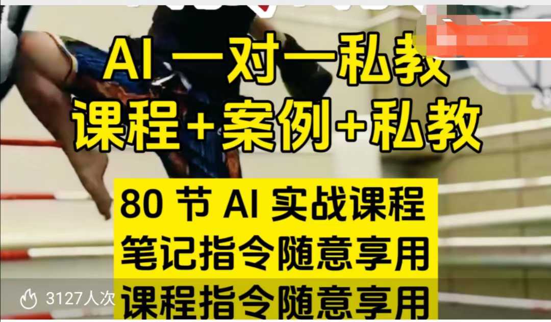 AI指令实战课，课程+案例，80节AI实战课程，笔记指令随意享用，课程指令随意享用-易得个人分享