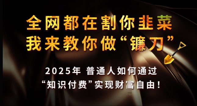 全网都在割你韭菜，我来教你做镰刀，2025年普通人如何通过 知识付费 实现财F自由【揭秘】-易得个人分享