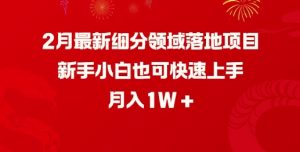 2月最新细分领域落地项目，新手小白也可快速上手，月入1W-易得个人分享