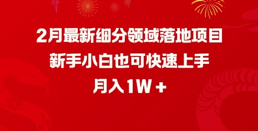 2月最新细分领域落地项目，新手小白也可快速上手，月入1W-易得个人分享