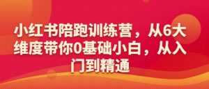 小红书陪跑训练营，从6大维度带你0基础小白，从入门到精通-易得个人分享