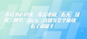 小红书必修课，覆盖电商，无人，获客，种草，mcn，直播等多个板块，看了就能干-易得个人分享