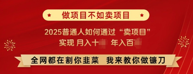 必看，做项目不如卖项目，2025普通人如何通过“卖项目”实现月入十个，年入百个-易得个人分享