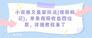 小说推文最新玩法(视频标记)，单条视频收益四位数，详细教程来了-易得个人分享