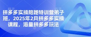 拼多多实操陪跑特训营弟子班，2025年2月拼多多实操课程，海量拼多多玩法-易得个人分享
