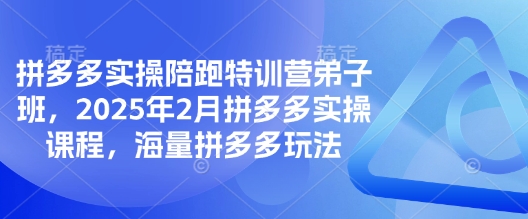 拼多多实操陪跑特训营弟子班，2025年2月拼多多实操课程，海量拼多多玩法-易得个人分享