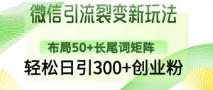 微信引流裂变新玩法：布局50+长尾词矩阵，轻松日引300+创业粉-易得个人分享