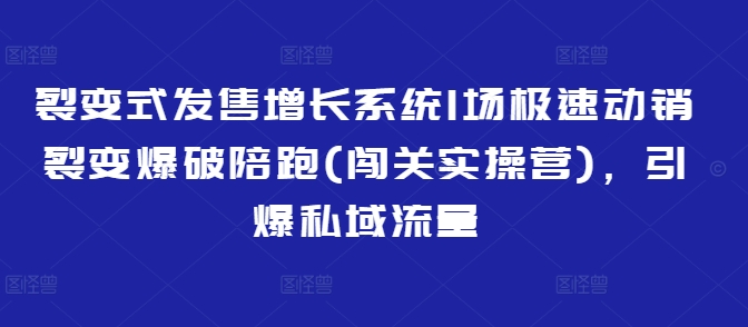 裂变式发售增长系统1场极速动销裂变爆破陪跑(闯关实操营)，引爆私域流量-易得个人分享