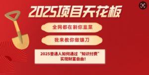 2025项目天花板普通人如何通过知识付费，实现财F自由【揭秘】-易得个人分享