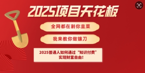 2025项目天花板普通人如何通过知识付费，实现财F自由【揭秘】-易得个人分享