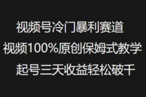 视频号冷门暴利赛道视频100%原创保姆式教学起号三天收益轻松破千-易得个人分享
