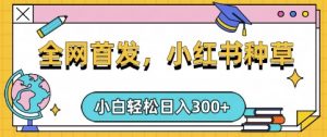 小红书种草，手机项目，日入3张，复制黏贴即可，可矩阵操作，动手不动脑【揭秘】-易得个人分享