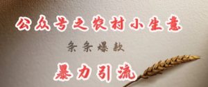 deepseek写农村小项目，条条爆款，暴力引流-易得个人分享