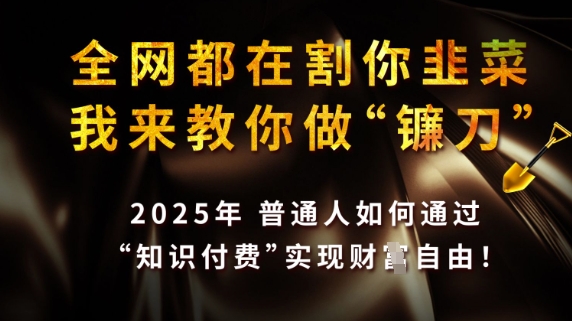 全网都在割你韭菜，我来教你做镰刀，2025普通人如何通过知识付费，实现财F自由【揭秘】-易得个人分享