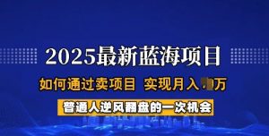 2025蓝海项目，普通人如何通过卖项目，实现月入过W，全过程【揭秘】-易得个人分享