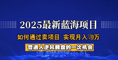 2025蓝海项目，普通人如何通过卖项目，实现月入过W，全过程【揭秘】-易得个人分享