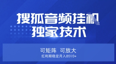 【搜狐音频挂G】独家技术，可矩阵可放大，红利期稳定月入8k【揭秘】-易得个人分享