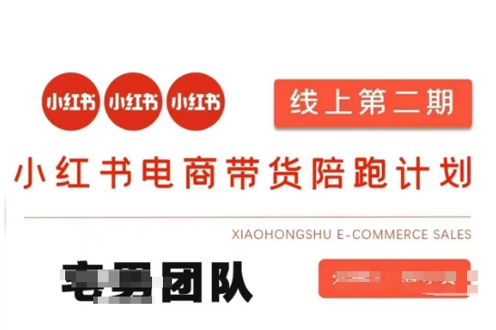 小红书电商带货课2期，月利润20个的小红书电商的有货源，无货源，虚拟产品，付费投流等整套玩法-易得个人分享