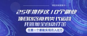 25年推荐这10个副业项目包含褂鸡类、代运营托管类、全自动打金类【揭秘】-易得个人分享