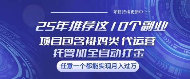 25年推荐这10个副业项目包含褂鸡类、代运营托管类、全自动打金类【揭秘】-易得个人分享