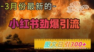 小红书超劲爆引流手段，图文日引300+轻松变现1W-易得个人分享