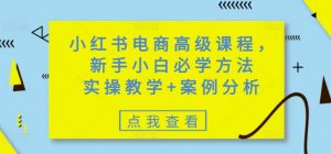 小红书电商高级课程，新手小白必学方法，实操教学+案例分析-易得个人分享