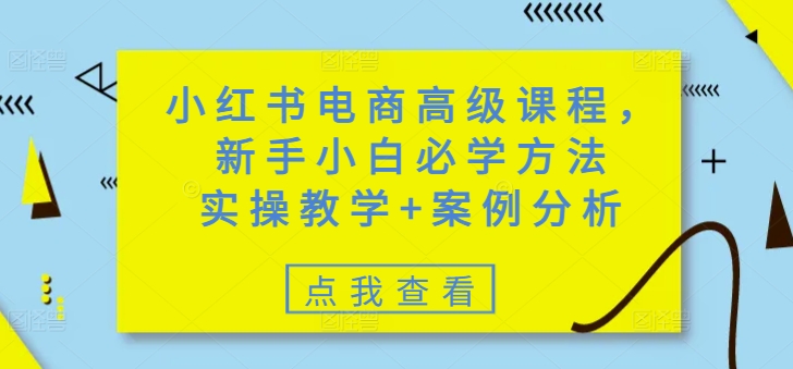 小红书电商高级课程，新手小白必学方法，实操教学+案例分析-易得个人分享