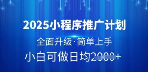 2025小程序推广计划，全面升级，简单上手，日均多张【揭秘】-易得个人分享