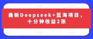 最新Deepseek+蓝海项目，十分钟收益2张-易得个人分享