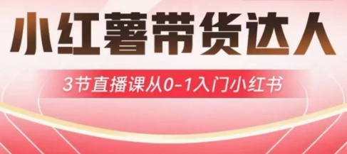 小红薯达人带货启航计划，3节直播课从0-1入门小红书-易得个人分享